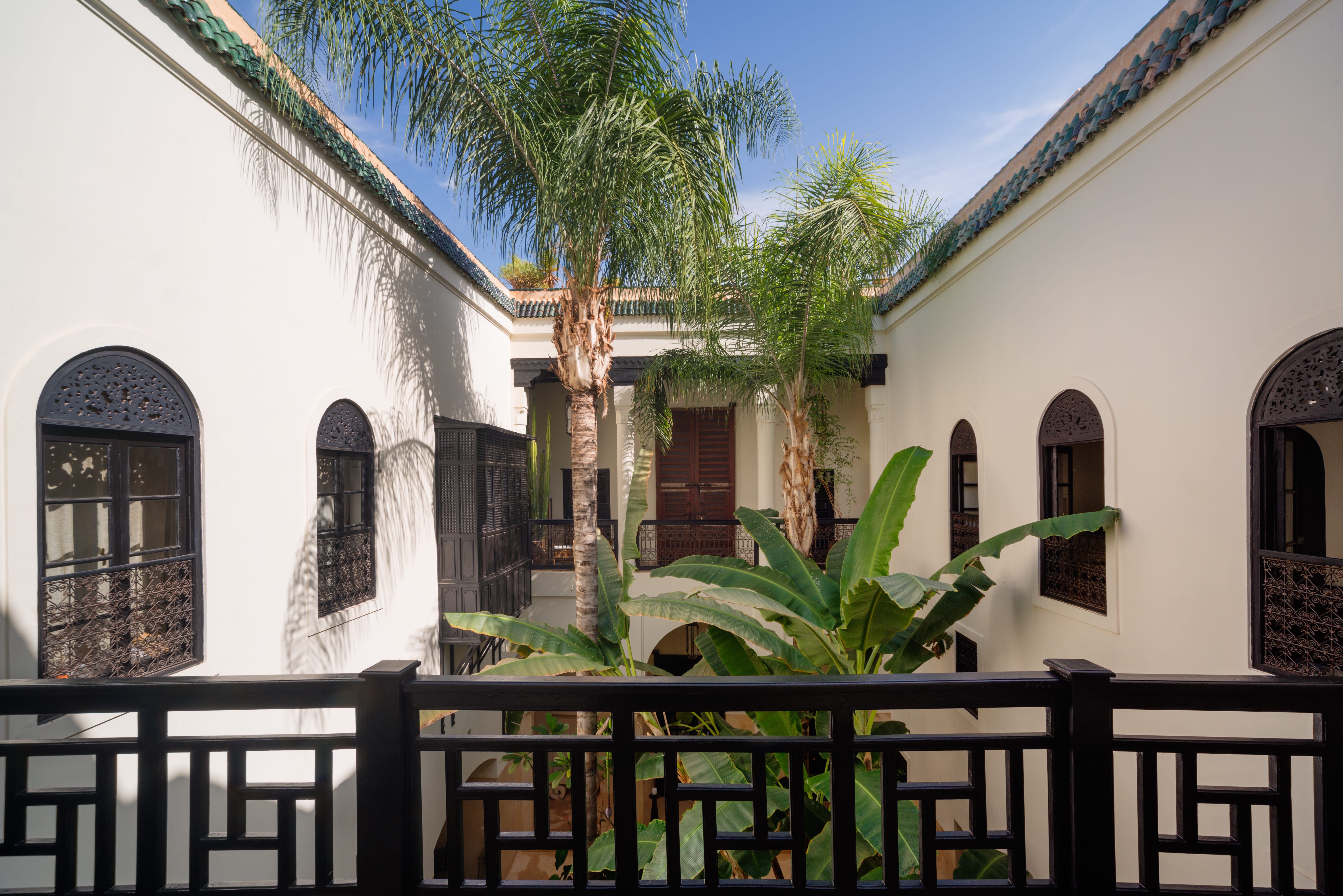 Palm and banana trees rising through a white courtyard at 72 Marrakech